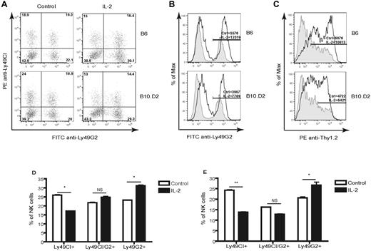 Figure 5. Increased frequency of Ly49G2high NK cells in IL-2–treated mice. B6 (H-2b) and B10.D2 (H-2d) mice received recombinant human IL-2. Gated splenic CD45+NK1.1+CD3− cells expressing Ly49s in IL-2–treated mice versus untreated mice are shown. (A) Frequencies of NK cells positive for Ly49G2 in B6 and B10.D2 mice. (B) Intensity levels of Ly49G2 expression as determined by MFI on control (tinted gray) and treated (solid dark lines) mice. Distribution of NK-cell subsets in B6 (C) and B10.D2 (D) mice. *P < .01; **P < .001. NS indicates not significant. The numbers represent the percentages of cells or MFI values. Data are representative of 3 experiments using 3-4 mice per group in each experiment (means ± SEM).