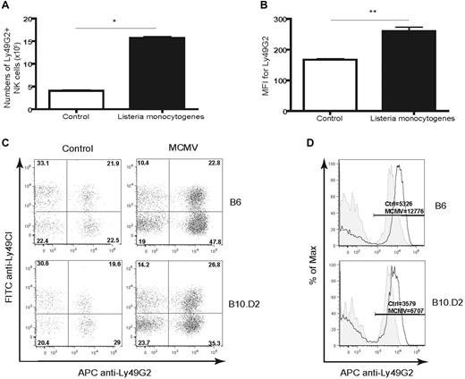Figure 7. Increased frequency of Ly49G2high NK cells in mice infected with pathogens. B6 (H2b) mice were infected with L monocytogenes and splenocytes were stained for CD45, NK1.1, CD3, Ly49C/I, and Ly49G2 at day 3 after infection and compared with uninfected control mice. (A) Increase in the total numbers of NK cells and (B) frequencies of Ly49G2high cells in mice infected with L monocytogenes. B6 (H2b) and B10.D2 (H2d) mice were infected with MCMV and splenocytes were stained for NK1.1, TCRβ, Ly49C/I, and Ly49G2 at day 6 after infection and compared with uninfected control mice. Shown are increased percentages (C) and increased intensity levels (D) of Ly49G2 expression as determined by MFI on NK cells in MCMV-infected mice (solid dark line) compared with uninfected controls (tinted gray). *P < .001; **P < .01. The absolute numbers represent the percentages of cells or MFI values. Data are representative of 3 experiments using 3-4 mice per group in each experiment (means ± SEM).