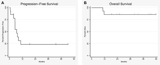 Figure 2. Kaplan-Meier survival function. (A) Progression-free survival. (B) Overall survival. Hatch marks represent time subjects censored.