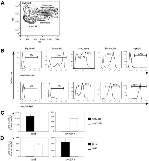 Figure 2. Expression of the mhc2dab:GFP and cd45:DsRed transgenes in adult WKM. (A) Gating strategy to isolate the main hematopoietic lineages—erythroid, lymphoid, precursor, myeloid, and eosinophils—using light-scattering characteristics (B) For each gate, the expression of mhc2dab:GFP (top panels) and cd45:DsRed (bottom panels) is presented as a histogram plot; percentages are indicated. (C-D) Gene expression in mhc2dab:GFP (C) and cd45:DsRed (D) kidney lymphoid cells examined for the presence of B-cell (pax5) and T-cell (tcr-a)–specific transcripts. Units on the y-axis represent transcript expression normalized to ef1a transcript levels. Error bars indicate SD.
