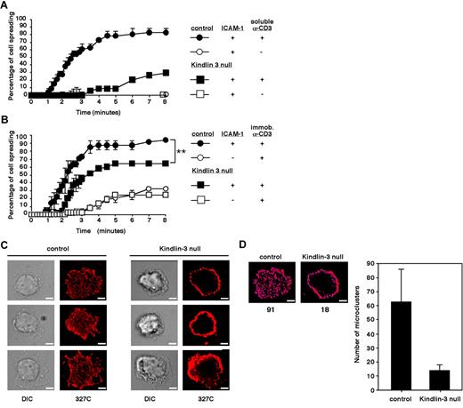 Figure 3. Kindlin-3–null cells display defective TCR-triggered spreading on ICAM-1 and fail to generate scattered focal dots on immobile ICAM-1 enriched with headpiece-activated LFA-1. (A) Time course of normal and Kindlin-3–null PB T lymphocyte spreading on ICAM-1 (600 sites/μm2) triggered by TCR ligation with soluble OKT3. (B) Time course of normal and Kindlin-3–null T cells spreading on ICAM-1–IgG (600 sites/μm2) or IgG, each co-immobilized with rabbit anti–mouse antibody. Where indicated, OKT3 was immobilized on the rabbit antibody. Values in panels A and B are each the mean ± range of 2 fields of view. **P < .005 (C) Control and Kindlin-3–null T cells spread on the immobilized OKT3/ICAM-1 surface shown in panel B were fixed and stained with Alexa Fluor 568–labeled 327C mAb specific for the active (open) I domain of the LFA-1 β2 subunit. Scale bar represents 3 μm. Experiments in panels A-C are each representative of 2. (D) Shown is a representative control and Kindlin-3–null cell (taken from panel B, top row) quantitatively analyzed for microclustering by 2D polygon modeling. The number of individual clusters in the indicated cells is shown below the images in the left panels, and the mean number of clusters per cell is shown in the right panel. Eight cells representative of 100 were analyzed.