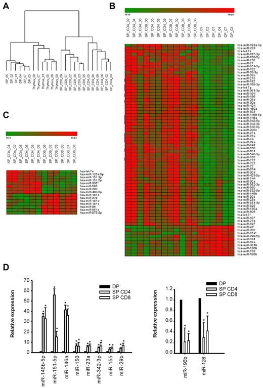 Figure 1. miR expression during human thymocyte development. miR expression profiles were generated as described in “miR and mRNA expression profiling” from a dataset consisting of 6 samples each of normal thymus tissue, DP thymocytes, CD4+ SP thymocytes (SP_ CD4), and CD8+ SP thymocytes (SP_CD8). (A) Dendrogram based on miR expression profiles of thymic populations showing the hierarchical clustering of biologic samples. (B-C) Heatmap representations of feature expression, limiting to the subsets of miRs that were differentially expressed in the following comparisons: DP versus SP thymocytes (B) and SP CD4+ versus SP CD8+ thymocytes (C). Differentially expressed features were identified by Significance Analysis of Microarray analysis23 with false discovery rate = 0.001; the heatmaps were generated with the Genesis software package (BRB array tools ver. 3.6 Genesis 1.7.2).24 (D) Validation of miR expression profiles in thymocyte subpopulations by quantitative RT-PCR (P < .05; t test). Reported are results of TaqMan quantitative RT-PCR to detect miRs chosen among the top-regulated miRs during thymocyte transition from DP to SP stage. The level of expression of was normalized to that of the small noncoding RNA RNU44. Plotted are the average values ± SD of 3 independent experiments from 3 biologic samples for each population.