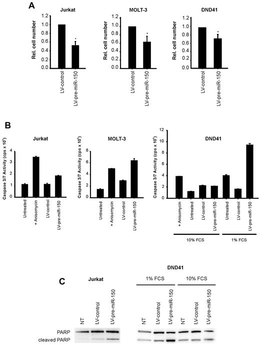 Figure 5. Functional effects of miR-150 expression in T-ALL cells. (A) Relative cell numbers of Jurkat, MOLT-3, and DND41 cells 72 hours after transduction with the lentiviral vector LV-pre-miR-150 or LV-control (P < .05; t test). The relative cell numbers were calculated by setting the value of the control at 1. The figure shows the average of 4 independent experiments ± SD. (B) Caspase 3/7 Activity Test on Jurkat, MOLT-3, and DND41 cells 72 hours after transduction with the lentiviral vector LV-pre-miR-150 or LV-control. As a positive control for activated caspase activity, we treated T-ALL cells with the protein synthesis inhibitor anisomycin (2 μg/mL) for 24 hours. In standard culture conditions (10% FCS), miR-150 overexpression induces a significant increase of caspase activity in Jurkat and MOLT-3 T-ALL cell lines. In the DND41 cell line, miR-150-forced expression induces an increase in the caspase activity only when the cells are cultured in serum deprivation (1% FCS), although it is not detectable in normal serum conditions (10% FCS). The level of caspase activity was expressed in terms of absolute intensity of luminescence measured in counts per second (cps). The figure shows the result of one representative experiment of 2 for each cell line. (C) Western blot analysis to detect uncleaved and cleaved poly(adenosine 5′-diphosphate-ribose) polymerase in lysates of Jurkat and DND41 cells treated as described in panel B.