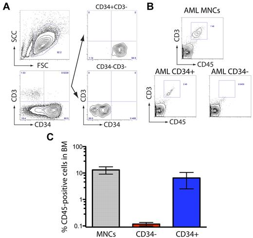 Figure 2. NSG-engrafting AML-LICs express CD34. (A) An NSG-engrafting AML sample (AML#22) was sorted based on the surface expression of CD34 and the absence of CD3 and transplanted in NOD/SCID IL2Rγcnull mice. (B) Representative flow cytometry of human (CD45) T-cell population (CD3) present in the BM of transplanted mice. (C) Human engraftment levels in BM are represented.