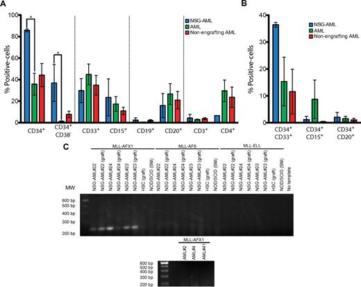 Figure 5. NSG-AML samples express MLL-AFX1 mRNA. (A) Surface-marker expression in NSG-engrafting AML (blue), engrafting AML (green), and nonengrafting AML (red) samples. Percentage of positive population by flow cytometry is represented. NSG-AML: AML#22, #23, #24. AML: AML#1, #2, #3, #4, #5, #6, #8, #9, #11, #20, #21. Nonengrafting AML: AML#26, #27, #29, #37, #38, #39, #41, #42, #43, #44. *P ≤ .05. (B) Surface-marker expression in CD34-positive NSG-AML (blue), AML (green), and nonengrafting AML (red) samples analyzed as in panel A. (C) mRNA from de novo and engrafted samples was isolated and RT-PCR against MLL fusion proteins was performed.