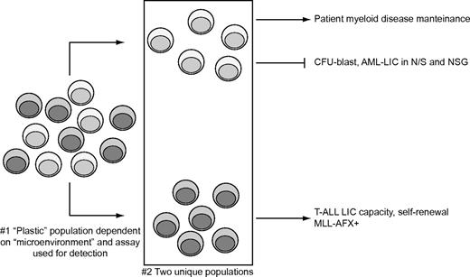 Figure 6. LIC heterogeneity in NSG-engrafting AML patient samples. NSG-engrafting AML samples contain at least 2 different subtypes of LSCs responsible for the patient myeloid disease and T-cell lymphoproliferative disorder in NOD/SCID IL2Rγcnull mice.