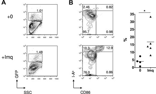 Figure 2. Effect of topical imiquimod on LC frequency and phenotype in the skin epithelium. (A) Contour plots showing GFP reporter expression (specific for host LCs) in skin epithelia of Langerin.DTR/GFP mice treated 24 hours previously with topical imiquimod (Imq) or control. (B) Left: Contour plots showing dual staining for CD86 and MHC class II in gated LCs from mice treated 24 hours previously with topical imiquimod or control. Right: Summary data showing the percentage of CD11b+ LCs that were CD86high MHCIIhigh, in control or imiquimod-treated mice (n = 4 or 5 mice per group); data pooled from 3 independent experiments. *P < .05. The mean is indicated by the horizontal bar.