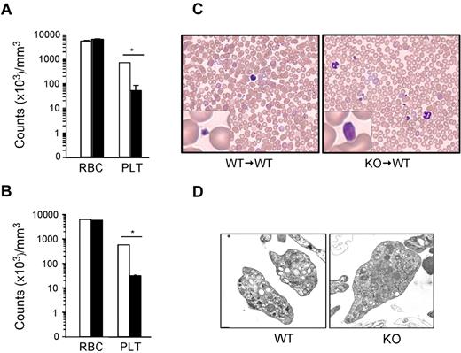 Figure 1. Loss of gp96/grp94 results in macrothrombocytopenia. CBC analysis on WT (□, n = 5) and KO (■, n = 5) mice (A) or WT → WT (□, n = 4) and KO → WT (■, n = 5) bone marrow chimeras (B) 14 days PTD. RBC indicates red blood cells; PLT, platelets. *P < .05. (C) Representative Hem-3 staining of peripheral blood smears. (D) Ultrastructure transmission electron microscopy of WT and KO platelets. Magnifications are WT, 15 000×; and KO, 10 000×.