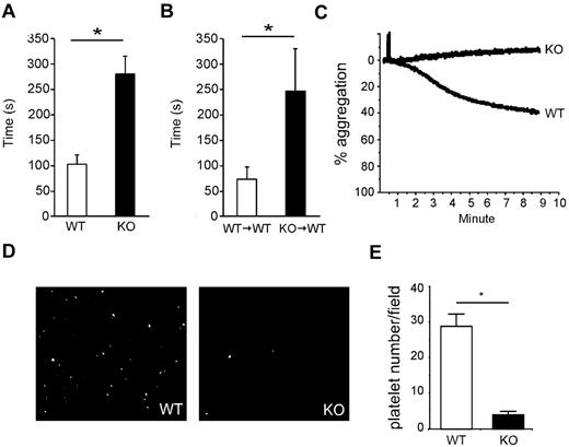 Figure 3. Increased bleeding time and failure of platelets to respond to VWF in gp96/grp94 KO mice. Bleeding time analysis of WT (□, n = 5) and KO (■, n = 5) mice (A) and WT → WT (□, n = 8) and KO → WT (■, n = 9) mice (B) 14 days PTD. *P < .05. (C) Aggregation of pooled purified WT (n = 10) and KO (n = 13) platelets 2 months PTD in response to VWF/botrocetin. (D) Representative adherence to immobilized VWF under shear stress of fluorescently labeled platelets from WT (n = 10) and KO (n = 13) mice 2 months PTD. (E) Average number of adhered platelets of WT and KO origin shown in panel D in 10 randomly selected fields. *P < .01.