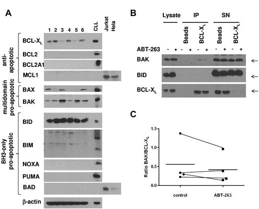 Figure 6. BCL-XL directly interacts with BAK in resting platelets. (A) Lysates from washed platelets (20 μg) from 6 healthy volunteers were analyzed by Western blotting for expression of BCL2 proteins. A lysate from CLL cells cultured for 24 hours on CD154-expressing fibroblasts, as well as lysates from Jurkat or HeLa cells, were used as positive controls. (B) Washed platelets from a healthy volunteer were exposed to ABT-263 (100nM) in the presence of z-VAD.fmk (50μM) for 2 hours before lysis and immunoprecipitation of BCL-XL. Interaction of BCL-XL with BAK or BID was assessed by staining with anti-BAK or anti-BID antibody, respectively. (C) Binding of BAK to BCL-XL was quantified using densitometry on lanes 5 and 6 of Western blots as shown in panel B and expressed as a ratio of BAK/BCL-XL in 4 individual samples together with the mean (−).