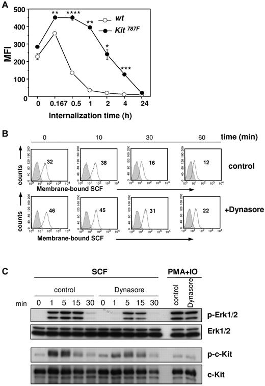 Figure 6. SCF-mediated c-Kit internalization and downstream signaling. (A) SCF-c-Kit internalization after SCF binding was measured at indicated time points. BMMCs generated from 3 different wild-type and Kit787F mice were compared. One representative experiment from 3 is shown (*P = .009; **P = .001; ***P = 4 × 10−4; ****P = 2 × 10−4). (B) SCF-c-Kit internalization was induced after preincubation of cells with Dynasore (100μM) or DMSO (control) for 30 minutes at 37°C and subsequent loading with SCF (50 ng/mL). αSCF staining (white histograms, MFI indicated) and staining of isotype-matched antibodies of irrelevant specificity (gray histograms) were measured at indicated time points by flow cytometry. One representative experiment from 3 is shown. (C) BMMCs from wild-type mice were preincubated with Dynasore (100μM) or DMSO (control) for 30 minutes at 37°C and stimulated for the indicated times with SCF (100 ng/mL) or PMA and ionomycin. Cell lysates were immunoblotted with antibodies specific for (phospho-)Erk1/2, (phospho-)c-Kit, and c-Kit. Immunoblotting with Erk1/2-specific antibodies served as loading control. One representative experiment from 2 is shown.