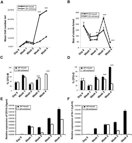 Figure 5. Hoxa3 promotes proliferation and differentiation of HSC/Ps into Gr-1+CD11b+ myeloid cells. (A) Viable cell number at weekly time points following Hoxa3-mCherry or mCherry protein delivery to HSC/Ps. (B) Total colony forming units (CFU) at weekly time points following Hoxa3-mCherry or mCherry protein delivery to HSC/Ps. (C-D) The percentage of CFU-monocytic (C), and CFU-granulocytic (D), at weekly time points following Hoxa3-mCherry or mCherry protein delivery to HSC/Ps (error bars represent SEM, *P ≤ .05, **P ≤ .01, ***P ≤ .001). (E-F) qRT-PCR analyses of lineage-specific gene expression at weekly time points following Hoxa3-mCherry or mCherry protein delivery to HSC/Ps. Gr-1/Ly6g is a granulocytic marker, and CD11b/Itgam is a pan-myeloid marker.