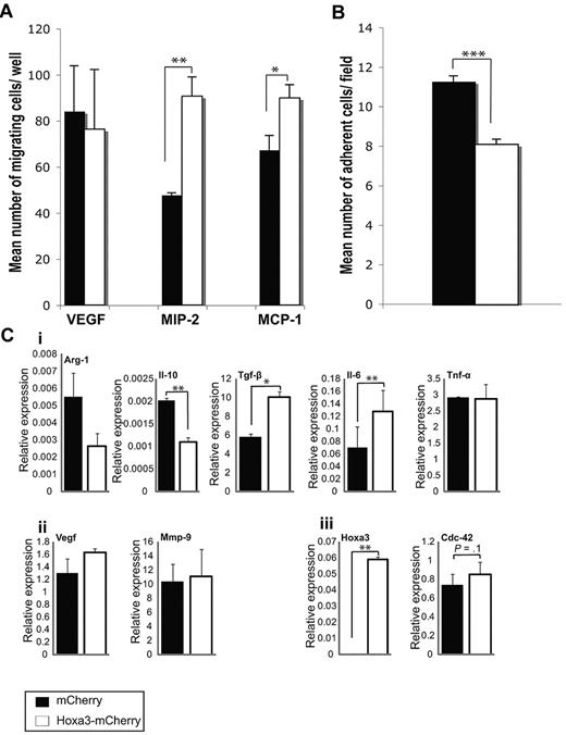 Figure 6. Effect of Hoxa3 on diabetic-derived Gr-1+CD11b+ cell function. (A) Migration assays of diabetic-derived Gr-1+CD11b+ cells transfected with mCherry or Hoxa3-mCherry toward VEGF, MIP-2, and MCP-1. (B) Adhesion assays of diabetic-derived Gr-1+CD11b+ cells (overexpressing Hoxa3-mCherry or mCherry alone) on TNF-α–activated endothelial cells. (C) Gene expression profile of diabetic Gr-1+CD11b+ cells overexpressing Hoxa3-mCherry or mCherry alone assessed by qRT-PCR. (i) Expression of M1 and M2 macrophage markers. (ii) Expression of angiogenic factors Vegf and Mmp-9. (iii) Expression of Hoxa3 and a representative Hoxa3 target gene, Cdc42. Error bars represent SEM, *P ≤ .05, **P ≤ .01, ***P ≤ .001.