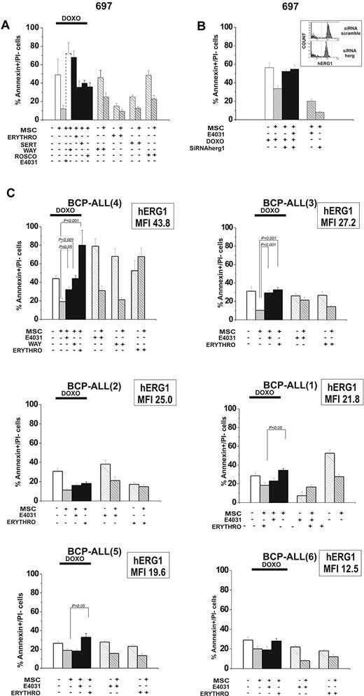 Figure 5. Effects of hERG1 blockers on MSC-induced chemoresistance of leukemic cells. (A) The 697 cell line was cultured with or without MSCs and exposed to doxorubicin (0.1 μg/mL) with or without the hERG1 inhibitors WAY (20μM), sertindole (1μM), erythromycin (100μM), and R-roscovitine (20μM). The percentage of annexin V+/propidium iodide− cells was evaluated after 48 hours of culture. Values are means ± SD of 3 experiments, each performed in quadruplicate. (B) 697 cells were treated with siRNA hERG1 and siRNA scramble and then cultured with or without MSCs and exposed to doxorubicin (0.1 μg/mL) with or without E4031 (20μM). The percentage of annexin V+/propidium iodide− cells was evaluated after 48 hours of culture. Values in all panels are means ± SD of 3 experiments, each carried out in triplicate. Inset, flow cytometric analysis of hERG1 surface expression in 697 cells transfected with siRNA hERG1 (bottom) and transfected with siRNA scramble control (top). (C) Primary leukemic cells (n = 6) were exposed to doxorubicin (0.1 μg/mL) with or without the hERG1 inhibitors E4031 (20μM), WAY (20μM), and erythromycin (100μM). The percentage of annexin V+/propidium iodide− cells was evaluated after 48 hours of culture. MFI values of hERG1 are reported in the top right corner of each panel. Values in all panels are means ± SD of triplicate experiments.