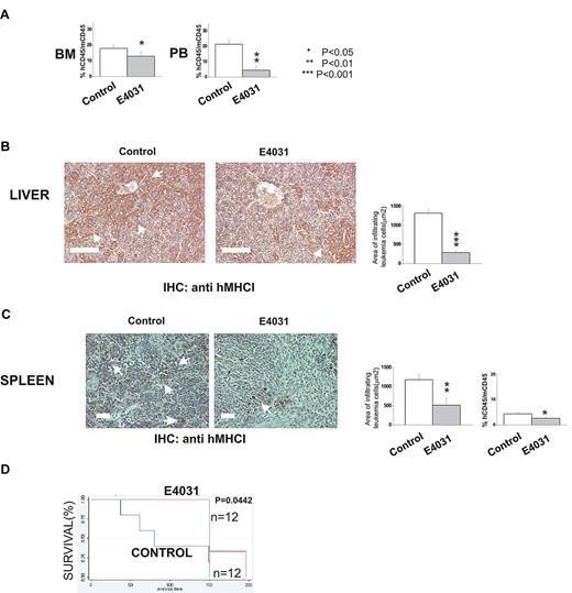 Figure 6. hERG1 blockers can overcome MSC-induced chemoresistance in vivo. NOD-SCID mice (n = 24) were inoculated with 697 cells on day 0 and treated with E4031 daily (20 mg/kg) for 2 weeks beginning 1 week after inoculation. At the end of the treatment, mice were killed, and peripheral blood (PB), bone marrow (BM), and peripheral organs (spleen, liver) were collected. (A) Leukemia engraftment in peripheral blood and bone marrow was quantified by determining the percentage of human CD45-positive (hCD45+) cells versus mouse CD45-positive (mCD45+) cells by flow cytometry. (B-C) Immunohistochemical staining with anti-hMHCI antibody of the liver and spleen of mice inoculated with the 697 cell line, and either treated (right) or not (left) with E4031. Arrows indicate foci of leukemic blasts. Histograms quantifying the extent of leukemic cell invasion (by anti-hMHCI staining) are shown on the right. The presence and extent of leukemia blast invasion is given as the area positive for anti-hMHCI staining calculated with Leica DC Viewer software at 40× magnification. Images were acquired on a DM 4000B microscope with a DFC 320 camera (Leica Microsystems; PL Fluotar 40×/0.70 objective) Scale bar = 100 μm. (D) Kaplan-Meier plots of overall survival among mice treated with saline only (n = 12) or E4031 (n = 12) after inoculation of 697 leukemic cells.