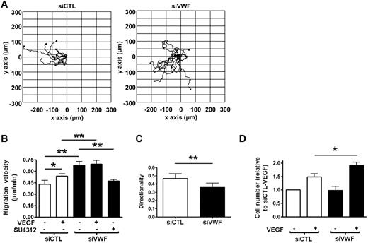 Figure 2. VWF-deficient cells display increased migration and proliferation in vitro due to increased VEGFR-2 signaling. (A) Representative trajectory plots of siCTL- or siVWF-treated HUVECs migrating into a wounded area for 16 hours, starting at 30 hours after siRNA treatment. The starting point of each cell trajectory is plotted at the center of the graph and the wounded area is to the left of zero on the x-axis. (B) Migration velocity (in micrometers per minute) with or without 50 ng/mL VEGF or with 4μM VEGFR-2 inhibitor SU4312. (C) Directionality of cell migration (Euclidean distance/accumulated distance). (D) Proliferation (in cells per square centimeter) of HUVEC 24 hours after control or siVWF treatment, cultured with or without 100 ng/mL VEGF for 96 hours. Data for siVWF in panel D has been normalized to siCTL-VEGF. siVWF was still effective at 120 hours after siRNA treatment (data not shown). siCTL, nonspecific siRNA-treated cells; siVWF, VWF siRNA-treated cells (n = 3). Error bars = mean ± SEM. *P < .05; **P < .01 (Student t test).
