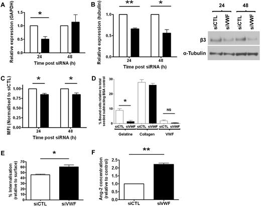 Figure 3. VWF-deficient cells display reduced β3 integrin expression and αvβ3-dependent adhesion, increased rate of β3 integrin internalization, and elevated release of Ang-2. (A) β3 mRNA expression was measured by RT-PCR. (B) Total β3 integrin protein expression was measured by Western blotting (representative blot shown) and quantified by densitometry relative to tubulin. (C) Surface levels of total αvβ3 (antibody: LM609) were measured by flow cytometry at 24 and 48 hours after siRNA treatment. (D) Control or siVWF-treated cells, 48 hours after transfection, were seeded onto different extracellular matrix substrates. After 40 minutes, nonadherent cells were removed by gentle washing and the number of bound cells was quantified relative to the total number seeded. (E) Internalization of β3 integrin from the cell surface after incubation at 37°C for 7.5 minutes. (F) Levels of Ang-2 in the supernatant of control or siVWF-treated cells were measured 48 hours after transfection by ELISA. Data (A-C, F) were normalized to control siRNA-treated cells at each time point. Open bars, siCTL; closed bars, siVWF. Error bars indicate mean ± SEM (n = 3). *P < .05; **P < .01 (Student t test).