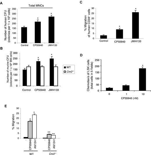 Figure 3. Colony formation and migration of human and murine hematopoietic stem and progenitor cells on cannabinoid ligand stimulation. (A) Effects of cannabinoid ligands on the in vitro colony formation by human hematopoietic progenitor cells. A total of 1 × 104 of human MNCs were seeded onto Petri dishes with or without the addition of cannabinoid ligands, as indicated. On day 10, colonies were counted under a light microscope. *P < .05. Data are mean ± SD (n = 3). (B) Effects of cannabinoid ligands on the in vitro colony formation by mouse hematopoietic progenitor cells. A total of 1 × 104 WT or Cnr2−/− BM cells were seeded onto Petri dishes suspended in colony formation-supporting medium with or without the addition of cannabinoid ligands, as indicated. On day 10, colonies were counted under a light microscope. *P < .01. Data are mean ± SD (n = 6). (C) Human BM CD34+ cells were exposed to CP55940 or JWH133 in a transwell assay. The y-axis shows percentage of migration from an input of 1 × 104 human CD34+ cells. Data are mean ± SD (n = 6). *P < .01. (D) Induction of chemotaxis of murine LSK cells by CP55940. Transwell inserts were used to evaluate the migration of LSK cells in distinct CP55940 concentrations. Cells were allowed to migrate for 4 hours, and cells in the bottom chambers were then counted under a light microscope. Data are mean ± SD (n = 9). *P < .001. (E) Murine wt or Cnr2−/− BM cells were added to the upper chamber in a migration assay. Cells were exposed to CP55940 and AM1241, present in the lower well, and migrated cells were counted. The y-axis represents percentage of migration from an input of 1 × 105 total murine BM cells. Data are mean ± SD (n = 6). *P < .01 compared with control untreated mice. **P < .01 compared with WT treated with the cannabinoid agonist, as indicated.