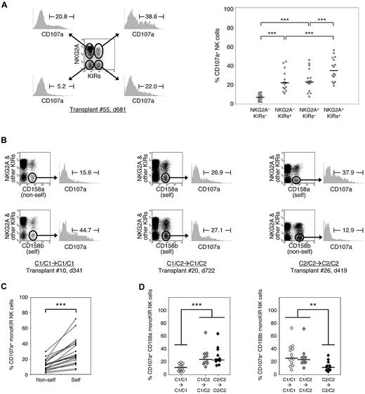 Figure 2. Absence of NK-cell education impairment after allogeneic HSCT. The percentages of CD107a+ cells in specific NK-cell subsets were determined after incubation with K562 targets. (A) The NKG2A−KIR−, NKG2A−KIR+, NKG2A+KIR−, and NKG2A+KIR+ subsets were evaluated in 16 post-HSCT samples. (B-D) The monoKIR subsets in 34 post-HSCT samples from recipients of HLA-C group–matched transplants (C1/C1→C1/C1: n = 13, C1/C2→C1/C2: n = 10, C2/C2→C2/C2: n = 11) were studied. (B) Representative examples are shown. (C) In homozygous recipients, monoKIR NK-cell responsiveness was compared between cells expressing a receptor for self-HLA (CD158b in C1/C1 subjects, CD158a in C2/C2 subjects) and for nonself-HLA (CD158a in C1/C1 subjects, CD158b in C2/C2 subjects). (D) The responsiveness of (left) CD158a monoKIR and (right) CD158b monoKIR NK cells was compared between recipients as a function of HLA-C genotype. When several samples were available for the same recipient, only the latest was included in the analysis. All dot plots were gated on total NK cells. Horizontal bars indicate the medians. **P < .01; ***P < .001.