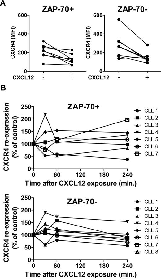 Figure 2. CXCR4 expression and down-modulation in response to CXCL12. Purified CLL cells from ZAP-70+ CLL samples (n = 7) or ZAP-70− CLL samples (n = 8) were incubated with or without CXCL12 (80nM) for 30 minutes. The CLL cells were either collected immediately and stained to assess CXCR4 down-modulation after incubation with its ligand (A) or washed and recultured for another 30, 60, or 240 minutes and then collected and stained to study CXCR4 reexpression overtime in the absence of the ligand (B). Cells were analyzed by flow cytometry, and the data shown depict CXCR4 expression as mean fluorescence intensity (MFI). (A) CXCR4 expression level is compared in the presence or absence of CXCL12 for 30 minutes. (B) CXCR4 reexpression is expressed as a percentage of control, which is the level of CXCR4 remaining on the surface after 30 minutes of CXCL12 stimulation, and corresponds to time 0.