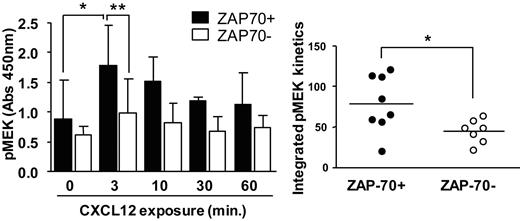 Figure 4. CXCL12 induces pronounced MEK activation in ZAP-70+. CLL cells were exposed to 30nM CXCL12 for 0-60 minutes at which point the cells were harvested, and the lysates were analyzed for p-MEK protein expression by enzyme-linked immunoabsorbent assay. Depicted is the absorbance measured at 450 nm. Results are shown as mean ± SD of ZAP-70− CLL samples (n = 7) and ZAP-70+ CLL (n = 8); * indicates a statistically significant difference; P < .05 paired Student t test. Two-way analysis of variance was used for the comparison ZAP-70+ CLL vs ZAP-70− CLL at 3 minutes. (Right) The integral under the time curve was measured as described in “Methods” and is depicted for all ZAP-70+ and ZAP-70− CLL cases shown on the left. Data shown are median ± SD; * indicates a statistically significant difference; P < .05 unpaired Student t test.