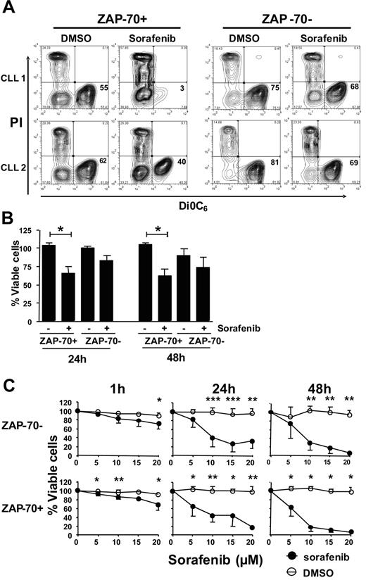 Figure 6. Sorafenib causes increased apoptosis in ZAP-70+ CLL cells. CLL cells were cultured in the presence of sorafenib or DMSO control, added once at the beginning of the culture. CLL cells were harvested at the indicated times and stained with DiOC6/PI and analyzed by flow cytometry. (A) Presented are contour maps from 2 representative ZAP-70+ and 2 ZAP-70− CLL samples treated with DMSO or 5μM sorafenib for 24 hours. The relative DiOC6 and PI fluorescence intensities are depicted on the x- and y-axis, respectively. Cells in the lower right quadrant, which are DiOC6 bright and PI negative, are viable, and those numbers were used for the generation of the plots shown below. (B) CLL cells were cultured in the presence of 5μM sorafenib or DMSO control and harvested after 24 and 48 hours for analysis of viability as above. Results are represented relative to untreated control at day 0, which was set as 100%. Data shown are mean ± SD from ZAP-70− (n = 5) and ZAP-70+ CLL cells (n = 5); * indicates a statistically significant difference; P < .05 paired Student t test. (C) CLL cells were cultured in increasing doses of sorafenib and analyzed for viability as above.