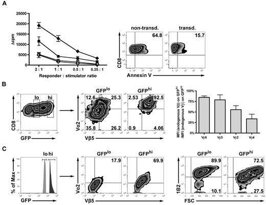 Figure 2. TCR gene transfer of allogeneic T cells reduces the expression of the endogenous TCR and diminishes alloresponsiveness in vitro. (A) Alloreactivity after TCR gene transfer was assessed in an MLR adjusted to the specific biologic needs of preactivated CD8+ T cells (“In vitro cytotoxicity and MLR”). TCR-transduced (■) or nontransduced (♦) B10.A T cells were stimulated with either irradiated allogeneic B6 splenocytes or syngeneic B10.A splenocytes as controls (□/◇). Values are mean ± SE. To assess the viability of transduced vs nontransduced responders at the time of MLR readout, samples were drawn from the wells and stained for annexin V/propidium iodide. (B) Either CD8+GFPlo- or CD8+GFPhi-expressing T cells (B10.A) were gated on the Vα2/Vβ5 double-positive population after transduction. Transduced T cells were costained for 4 randomly chosen endogenous TCR Vβ chains. Bar graphs represent the reduction of the respective endogenous Vβ chains in percentage as calculated by the ratio of MFI (endogenous Vβ) on GFPhi/MFI (endogenous Vβ) on GFPlo. (C) To directly visualize a high-affinity alloreactive endogenous TCR, Ld alloantigen-specific TCR-transgeneic 2C T cells were used for transduction and consecutively gated on either GFPlo or GFPhi. Fluorescence-activated cell sorter plots represent the respective population expressing both of the introduced TCR chains (Vα2 and Vβ5, middle plots). Cells were analyzed for endogenous 2C TCR expression (right plots) using the 2C-specific clonotypic marker 1B2.