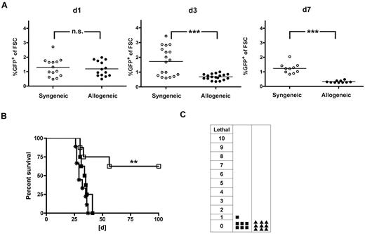 Figure 4. Allogeneic TCR-transduced CD8+ T cells fail to induce GVL when given later after HCT. A total of 40 × 106 TCR gene-transduced allogeneic (B10.A) or syngeneic (B6) T cells were adoptively transferred late (56 days) after HCT into either allogeneic (B10.A → B6) or syngeneic (B6 → B6) transplant recipients. (A) On days 1, 3, and 7 after AT, peripheral blood was monitored for GFP expressing allogeneic (●) or syngeneic (○) TCR-transduced T cells. P values between cohorts that received allogeneic or syngeneic T cells: P = not significant (n.s.) for day 1. ***P < .001 for day 3. ***P < .0001 for day 7. n = 10 to 18; pooled data from 2 independent experiments are shown. (B) Mice received AT with either allogeneic (■) or syngeneic (□) TCR-transduced T cells or PBS (*) 56 days after HCT. Three days after AT, mice were challenged with 1.2 × 106 C1498-OVA cells intravenously. P < .005 between TCR-transduced syngeneic T cells and PBS. P < .05 between TCR-transduced allogeneic and syngeneic T cells. P = not significant (n.s.) between TCR-transduced allogeneic T cells and PBS. n = 8 per group. (C) Mice received AT with TCR-transduced allogeneic T cells (■) as in panel B or naive DLI (▴) without subsequent leukemia challenge. Clinical GVHD scoring was performed weekly for 8 weeks after AT (n = 8-10 per group). P = not significant (n.s.) between cohorts that received TCR-transduced allogeneic T cells or DLI.