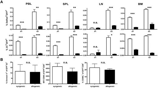 Figure 5. A high-affinity alloreactive endogenous TCR contributes to low frequencies of TCR-transduced CD8+ T cells in vivo. (A) A total of 1 × 106 TCR-transduced transgeneic 2C T cells (B6 background) were mixed with 10 × 106 TCR-transduced transgeneic DsRed T cells (B6 background) and adoptively transferred into either established allogeneic (B6 → B10A) or syngeneic (B6 → B6) transplant recipients late after HCT. Frequencies of transferred DsRed+GFP+ T cells (top row) or 2C+GFP+ T cells (bottom row) in peripheral blood (PBL), spleen (SPL), lymph node (LN), and BM were determined. Black bars represent allogeneic recipients; and white bars, syngeneic recipients. *P < .05. **P < .01. ***P < .001. Values are mean ± SD. (B) Splenocytes harvested on day 1 after AT were gated on 2C+GFP+ T cells and consecutively analyzed for annexin V expression (left panel). Equally (middle and right panel), DsRed splenocytes were gated on GFP+CD8+ T cells and analyzed for CD95L and CD95 expression. P = not significant (n.s.) between either group.