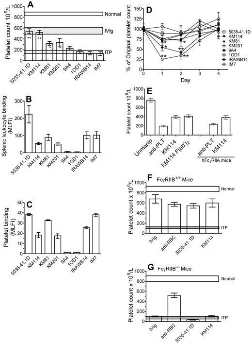 Figure 1. Antibodies to CD44 can ameliorate murine ITP and do so in a manner dependent on the presence of the inhibitory FcγRIIB but independent of the Fc region of IgG. (A) Mice were injected with 50 μg CD44 antibody (5035-41.1D, KM114, KM81, KM201, 9A4, IOD1, IRAWB14, or IM7) or 50 mg IVIg (∼ 2 g/kg of body weight). Twenty-four hours later, mice were injected with 2 μg antiplatelet antibody to induce thrombocytopenia. Mice were bled after a further 24 hours, and the platelet count was determined. Horizontal bars represent the range of the mean platelet count (± 1 SEM) of naive, antiplatelet antibody injected mice, and IVIg treated mice. n = 9 mice for each group from 3 independent experiments. *P < .01 versus ITP. **P < .001 versus ITP. (B) CD44 binding to splenic leukocytes was assessed as follows: RBC-depleted mouse splenic leukocytes were incubated with the indicated CD44 antibody followed by the appropriate fluorescein isothiocyanate-labeled secondary anti-IgG and assessed for mean log fluorescence intensity (MLFI) by flow cytometry. The values are the mean of 2 independent experiments. (C) To determine the extent of reactivity of murine platelets with the CD44 antibodies used in this study, murine platelets were incubated with the indicated CD44 antibody followed by appropriate fluorescein isothiocyanate-labeled secondary anti-IgG and assessed for MLFI by flow cytometry. The values are the mean of 4 independent experiments. (D) Mice were injected with 50 μg of the indicated CD44 antibodies to assess the ability of each antibody to induce thrombocytopenia in the absence of antiplatelet antibody. Platelet counting was evaluated before injection and after 24, 48, 72, and 96 hours. n = 6 mice for each group from 2 independent experiments. *P < .05 versus prebleed values. **P < .001 versus prebleed values. (E) C57BL/6 mice (columns 1-4) were treated and bled and platelets counted as in panel A, except that mice were treated with either 50 μg intact KM114 or 37 μg F(ab′)2 KM114 (the equivalent molar concentration). n = 6 mice for each group from 3 independent experiments. Mice expressing human FcγRIIA (columns 5 and 6) were injected with antiplatelet antibody alone or antiplatelet antibody plus KM114 as in panel A and platelets were counted as in panel A. n = 6 mice for each group from 2 independent experiments. (F) Wild-type mice (FcγRIIB+/+) or (G) mice genetically deficient in the inhibitory Fcγ receptor RIIB (FcγRIIB−/−) were injected with 50 mg IVIg, 50 μg anti-RBC monoclonal antibody (TER119), or 50 μg of the indicated CD44 antibodies (KM114 or 5035–41.1D). Twenty-four hours later, all mice were given 2 μg antiplatelet antibody to induce thrombocytopenia. After a further 24 hours, mice were bled for platelet counting. Normal and ITP are described as in panel A. n = 9 mice for each group from 3 independent experiments.