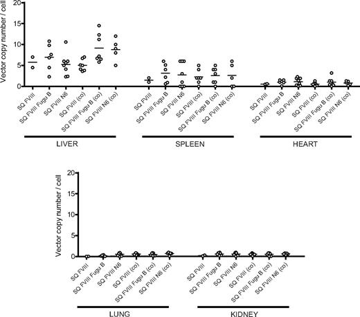Figure 5. Quantification of vector copy number in tissues of hemophiliac mice after intravenous injection of SIN LVs expressing bioengineered FVIII constructs. Liver, spleen, heart, lung, and kidney tissue were taken from mice killed at approximately 250 days after neonatal injection of LVs expressing SQ FVIII, SQ FVIII Fugu B, SQ FVIII N6, SQ FVIII (co), SQ FVIII Fugu B (co), and SQ FVIII N6 (co). Genomic DNA was extracted and viral copy number determined using quantitative PCR. Line represents the mean of all points. No significant difference in copy number was observed between any vector group (P > .1, Bonferroni simultaneous test).