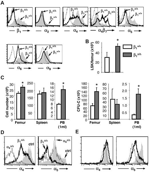 Figure 1. Integrin expression and hematopoiesis in β1Δ/Δ at steady state. (A) Expression of various integrins in CD45+ BM cells of β1-deficient (β1Δ, thick black line) or β1-sufficient, control (β1+, gray histogram) mice; isotype-matched control is represented by a thin dotted line. Note that the expression of α4β7 is up-regulated in β1Δ/Δ BM cells. (B) Lin−, Sca-1+, c-kit+ (LSK) cells in the femurs of control (n = 10) and β1Δ/Δ (n = 15) mice. (C) Cells and progenitors per femur, spleen, and 1 mL of PB in β1Δ/Δ (BM, n = 19; spleen, n = 13; PB, n = 17) or control, β1+ (BM, n = 18; spleen, n = 6; PB, n = 17) mice. White bars represent control mice; and gray bars, β1Δ/Δ mice. *Significant difference over control (P < .05). (D) α4 versus α5 expression in β1Δ/Δ spleen cells compared with α4Δ/Δ mice or control mice. (E) Relative expression of α4 and α5 integrin in erythroid cells (TER119+) at progressive maturation stages: R1, CD71hi/TER119lo (gray shaded area); R2, CD71hi/TER119hi (white area with bold line); and R3, CD71lo/TER119hi (white area with thin, dotted line). Note the higher α5 expression in early R1 erythroblasts (gray).