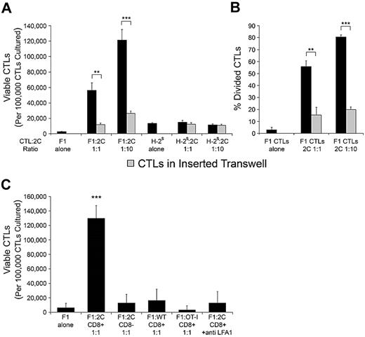Figure 5. CTLs are induced to survive and proliferate when targeted. (A) Effect of targeting on CTL viability. H-2d/b (F1) CTLs or H-2s CTLs were placed in culture with 2C CD8+ T cells at a CTL-to-2C ratio of 1:1 or 1:10, or were incubated without 2C cells. In parallel, CTLs were placed alone in untraversable transwells and cultured in the surrounding media of respective CTLs interacting with 2C cells at both 1:1 and 1:10 CTL-to-2C ratios. After 72 hours of incubation, viable CTL counts were obtained by enumerating the number of 7AAD-excluding CTLs as determined by FACS. Values are presented as the number of viable CTLs per 105 CTLs cultured at time zero. (B) Effect of targeting on CTL proliferation. F1 CTLS were loaded with CFSE and placed in culture or in untraversable transwells as described in panel A. After 72 hours of incubation the percentage of divided CTLs was determined by CFSE dilution. (C) Specific TCR recognition and integrin-mediated adhesion are required to induce CTL survival. F1 CTLs were incubated as described in A with either 2C CD8+, 2C CD8−, OT-I CD8+, or wild-type C57B/6 CD8+ cells. Only the recognizing 2C CD8+ cells induced significant CTL survival and proliferation. The observed CTL response was inhibited on addition of 20ug/mL anti–LFA-1 antibody. Data in panels A-C are from a single experiment representative of 3 independent experiments. Error bars represent SD from triplicate wells. **P < .01, ***P < .001.