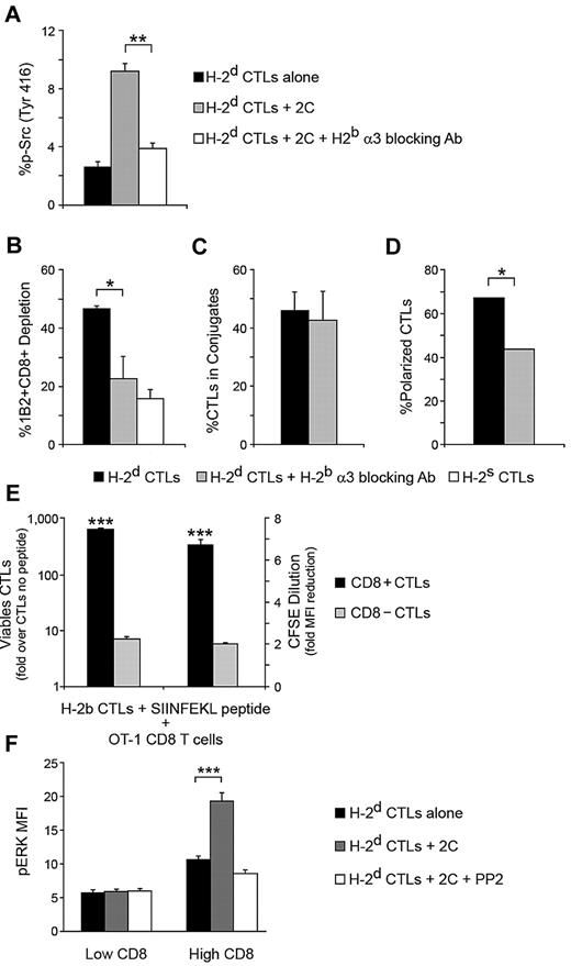 Figure 7. Targeted CTL activation is CD8 dependent. (A) CD8 mediates Src activation loop phosphorylation. H-2d CTLs were targeted with 2C CD8+ cells for 90 minutes, and Src phosphorylation was evaluated by FACS. The role of the CTL CD8 molecule in phosphorylation was determined by applying a blocking antibody specific for the 2C MHC-I α3 domain (H-2b). (B) Contribution of the CTL CD8 molecule to killing. Depletion of targeting 2C CD8+ cells was determined in the presence or absence of the blocking antibody from A. In A and B nonspecific CTL activity was controlled by H-2s CTLs. (C) Relevance of CD8 in adhesion. CTLs were targeted in the presence or absence of the blocking antibody from panel A, and adhesion was assessed by counting CTL-2C conjugates per total CTLs in several microscopic fields. (D) Polarization dependence on CD8. The effect of blocking CD8 ligation on CTL granule polarization toward conjugated 2C cells was evaluated by confocal microscopy. (E) CD8 contributes to CTL survival and proliferation. CD8+ and CD8− 2C CTLs (H-2b) were loaded with SIINFEKL peptide and targeted with OT-1 CD8+ cells. After 72 hours, survival and proliferation of the two CTL populations were evaluated by viable cell count and CFSE dilution. (F) ERK phosphorylation depends on CTL CD8 level. H-2d CTLs were targeted with 2C CD8+ cells for 90 minutes. The relationship between CD8 levels and targeting-induced ERK phosphorylation was determined by FACS analysis. In panels A-F, single experiments representative of 3 experiments are shown. SD is from triplicate wells/microscopic fields. *P < .05, **P < .01, ***P < .001; n > 50 (C); n > 100 (D).