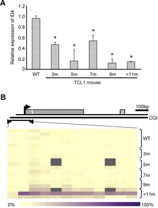 Figure 3. ID4 expression in B cells from Eμ-TCL1 transgenic mice. (A) Quantitative ID4 expression in wild-type (WT) and Eμ-TCL1 transgenic mouse spleen cells by real-time RT-PCR. The expression in Eμ-TCL1-tg mouse samples is shown relative to the expression in WT cells (defined as 1). Error bars indicate SD. *Indicates statistically significant differences based on 2-sample t tests. (B) ID4 methylation in WT and Eμ-TCL1-tg mouse spleen cells at different time points as measured by quantitative MassARRAY based methylation analysis. Gray indicates unavailable data. The diagram above it depicts the relative location of the amplicon with respect to exon 1 and exon 2 of ID4. The bar at the bottom indicates the color coding for the DNA methylation levels (yellow, 0% methylation; dark purple, 100% methylation).
