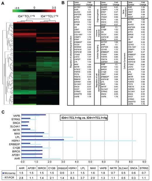 Figure 6. Microarray analysis of CD19+ B cells from 1-month-old ID4+/−TCL1-tg and ID4+/+TCL1-tg mice. (A) Heat map of the expression level of probe sets in Affymetrix array with at least a 1.5-fold increase or a 1.5-fold decrease in expression of ID4+/−TCL1-tg relative to ID4+/+TCL1-tg mouse B cells obtained from 1-month-old mice. Data are presented from 3 CD19+ B-cell samples in each group of 3 mice. Red and green colors indicate high and low expression, respectively. (B) Significantly up- or down-regulated genes in the microarray data were analyzed by the EASE gene ontology annotation tool. The enriched GO terms are listed. (C) Microarray (dark blue bars) and RT-PCR expression (light blue bars) of the 13 potential target genes involved in apoptosis. Fold changes in expression of ID4+/−TCL1-tg relative to ID4+/+TCL1-tg mouse B cells are shown graphically and in a table.