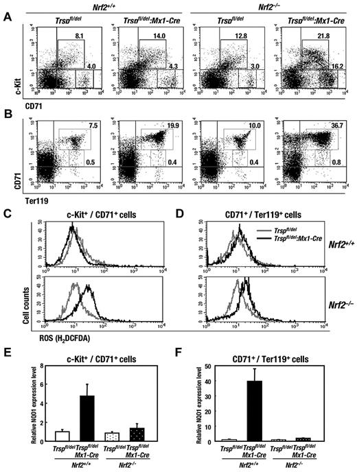 Figure 3. Nrf2 reduces the erythroid phenotype of Trsp-deficient mice. (A-B) Flow cytometric analysis of immature-erythroid (c-Kit+/CD71+) and mature-erythroid (CD71+/Ter119+) lineages in bone marrows, respectively. Representative data are presented from more than 3 independent experiments. Frequencies of cells in the indicated fraction are shown in the panels. (C-D) ROS production in c-Kit+/CD71+ (C) and CD71+/Ter119+ cells (D) of Trspfl/del and Trspfl/del:Mx1-Cre mice on Nrf2+/+ (top) or Nrf2–/– (bottom) background. (E-F) Expressions of Nrf2 target gene mRNA levels in c-Kit+/CD71+ (E) and CD71+/Ter119+ cells (F) were examined by real-time RT-PCR. Ribosomal 18S subunit was used as an internal control.