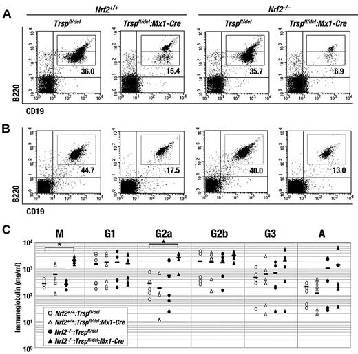 Figure 5. Removal of Nrf2 accelerates the reduction of B-cell number caused by Trsp gene loss but promotes immunoglobulin production. (A-B) Flow cytometric analysis of B cells (B220+/CD19+) in bone marrow (A) and spleen (B) of Trspfl/del and Trspfl/del:Mx1-Cre mice on an Nrf2+/+ or Nrf2–/– background. Representative data are presented from more than 3 independent experiments. (C) Serum immunoglobulin concentrations from Nrf2+/+:Trspfl/del (open circles), Nrf2+/+:Trspfl/del:Mx1-Cre (open triangles), Nrf2–/–:Trspfl/del (closed circles), and Nrf2–/–:Trspfl/del:Mx1-Cre (closed triangles). Horizontal bars indicate average means (*P < .005).