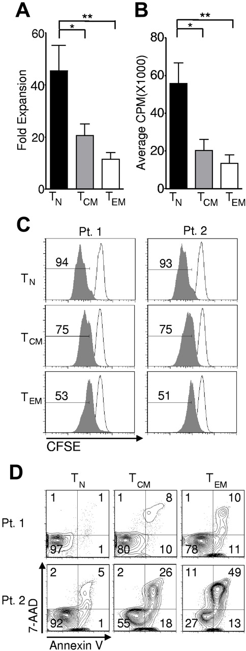 Figure 3. Naive cells display greater in vitro expansion than memory cells. Cryopreserved leukapheresis samples were thawed and rested overnight. CD8+ T-cell subsets were isolated then stimulated with allogeneic feeders, anti-CD3, and IL-2 (A) or stimulated with CD3/CD28 beads and IL-2 (B-C), then transduced to express the 1G4-α-95:LY mutant TCR 48 hours after stimulation. (A) Fold expansion of each culture was determined 10-16 days following stimulation. The fold expansion of CD8+ T-cell subsets from 12 patients is displayed (*P < .01, **P < .001). (B) Cells were pulsed with H3-TdR 48 hours after stimulation, and incorporation as determined 16 hours later is shown. N = 6. (*P < .01, **P < .001). (C) Cell division was determined by CFSE dilution 3 days after stimulation (shaded histograms). The frequency of cells within each gate is indicated. Open histograms are undivided controls. The x-axis is on a log scale and the y-axis is on a linear scale. Data are representative of 4 patients. (D) One day after transduction, cells were labeled with 7AAD and annexin V and flow cytometry was performed. Gate frequencies are displayed. Results are representative of 6 patients.
