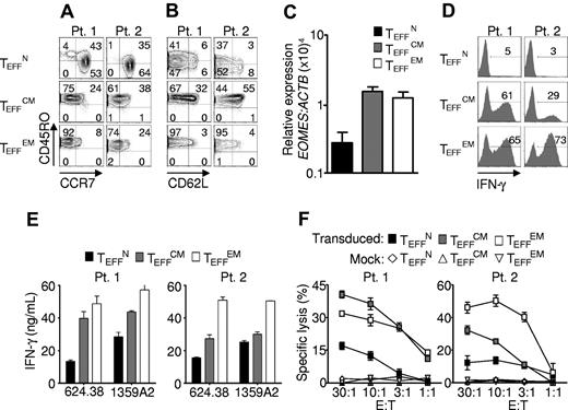 Figure 4. Effector cells derived from naive precursors manifest less acquisition of effector function. Cryopreserved leukapheresis samples were thawed and rested overnight. CD8+ T-cell subsets were isolated then stimulated with allogeneic feeders, anti-CD3, and IL-2. Cells were transduced to express the 1G4-α-95:LY mutant TCR 48 hours after stimulation. The following data were obtained 10-16 days after stimulation. (A-B) Expression of CD45RO, CD62L, and CCR7. Gate frequencies are indicated. Data are representative of 6 patients. (C) EOMES expression by real-time RT-PCR. Expression is relative to ACTB then normalized to the average relative expression for each patient. Data from 5 patients are shown. (D-E) IFN-γ production from 16-hour coculture with NY-ESO-1+ HLA-A2+ tumor targets as determined by intracellular staining and supernatant concentrations, respectively. Coculture with 2361R (NY-ESO-1− HLA-A2+) results in < 0.2 ng/mL of IFN-γ production in all groups. (F) Specific cell killing as determined by 51Cr release assay against the 624.38 tumor line.