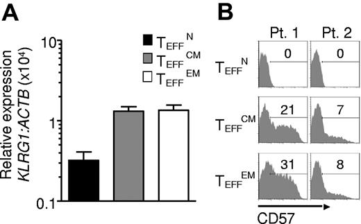 Figure 5. Naive-derived effector cells demonstrate resistance to terminal differentiation. Cryopreserved leukapheresis samples were thawed and rested overnight. CD8+ T-cell subsets were isolated then stimulated with allogeneic feeders, anti-CD3, and IL-2. Cells were transduced to express the 1G4-α-95:LY mutant TCR 48 hours after stimulation. The following data were obtained 10-16 days after stimulation. (A) KLRG1 expression by real time RT-PCR. Expression is relative to ACTB then normalized to the average relative expression for each patient. Data from 5 patients are shown. (B) Flow cytometric analysis of CD57 expression. Gate frequencies are indicated. Data shown are representative of 3 patients.
