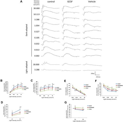 Figure 4. Functional rescue of G-CSF in the OIR model. (A) Representative results of scotopic and photopic ERG measured at P30. Left lane: normal untreated mouse; middle lane: G-CSF (50 μ g/kg)-treated OIR mouse; and right lane: vehicle-treated OIR mouse. (B-G) Quantitative results of each scotopic and photopic ERG component. ERG amplitudes and implicit times were retained in G-CSF–treated mice compared with the vehicle-treated mice (n = 10 in each group). *P < .05. **P < .01.