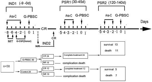 Figure 1. Protocol and results of HLA-mismatched G-PBSC infusion in combination with conventional chemotherapy for AML in elderly patients. Ara-C indicates cytarabine; MIT, mitoxantrone; CR, complete remission; IND1, first induction chemotherapy; IND2, second induction chemotherapy; PSR1, first postremission treatment; PSR2, second postremission treatment.