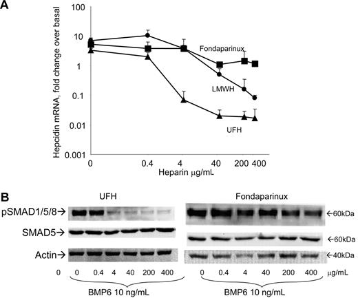 Figure 2. Effects of heparin on BMP6-induced expression of hepcidin and signaling. (A) The HepG2 cells were grown for 16 hours in the presence of 10 ng/mL BMP6 and of the indicated heparin types and concentrations; the level of hepcidin was analyzed by real-time RT-PCR in relationship to HPRT1 mRNA and expressed in a logarithmic scale. Data are means and SD of 3 independent experiments in triplicate. (B) Western blotting of phosphorylated SMAD1/5/8, total SMAD5 and of β-actin as calibrator of the cells extracts before and after the incubation with UFH and with fondaparinux. Data are representative of 3 independent experiments.