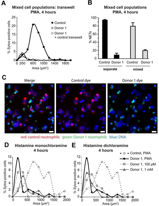 Figure 4. NET formation by MPO-deficient cells is not rescued by extracellular products of MPO. (A) Neutrophils from a healthy and a completely MPO-deficient donor (donor 1) were incubated either separately or co-incubated in a transwell system. Upon PMA activation, control neutrophils formed NETs. MPO-deficient neutrophils did not form NETs, even in the presence of control cells on a transwell insert. (B) Neutrophils from a healthy and a completely MPO-deficient donor (donor 1) were either incubated separately or mixed at a 1:1 ratio and stimulated with PMA. Before mixing, cells were differentially stained using MitoTracker Green and Deep Red dyes to distinguish the 2 populations. NET formation by MPO-deficient neutrophils was not significantly increased in the presence of control neutrophils. (C) A representative image of the mixed cell culture from panel B. Red, MitoTracker Deep Red–stained neutrophils from a healthy donor; green, MitoTracker Green–stained neutrophils from donor 1 (CD); blue, DNA (Hoechst). Left panel, merge of all 3 colors; middle panel, merge of red and blue channels; right panel, merge of green and blue channels. Scale bar, 25 μm. (D-E) Histamine monochloramine and histamine dichloramine were generated using an in vitro enzymatic system, then applied to neutrophils from a completely MPO-deficient donor (donor 1) at the indicated concentrations. Neither chloramine tested rescued NET formation by the MPO-deficient cells. Statistical analysis: ***P < .0001; *P = .01-05; n.s., differences not significant. (A) Control versus donor 1***; control versus donor 1 plus control transwell***; donor 1 versus donor 1 plus control transwell, n.s. (D) Control, PMA versus donor 1, PMA***; control, PMA versus donor 1, 100μM ***; control, PMA versus donor 1, 1mM*; donor 1, PMA versus donor 1, 100μM, n.s.; donor 1, PMA versus donor 1, 1mM, n.s.; donor 1, 100μM versus donor 1, 1mM, n.s. (E) Control, PMA versus donor 1, PMA***; control, PMA versus donor 1, 100μM***; control, PMA versus donor 1, 1mM***; donor 1, PMA versus donor 1, 100μM, n.s.; donor 1, PMA versus donor 1, 1mM, n.s.; donor 1, 100μM versus donor 1, 1mM, n.s. For each sample, 100-500 cells were evaluated.
