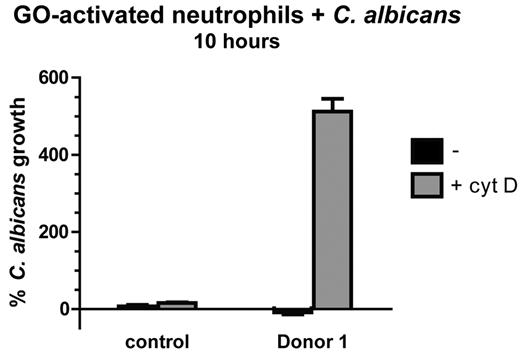 Figure 5. NET-dependent inhibition of C albicans growth is compromised in MPO-deficient neutrophils. Neutrophils from a healthy donor and a completely MPO-deficient donor (donor 1) were stimulated to make NETs using glucose oxidase for 2 hours or were left unstimulated. After NET formation, cells were left untreated or cytochalasin D was added to prevent phagocytic killing by neutrophils that had not made NETs. The yeast form of C albicans was added to the cells, and fungal growth was measured after 10 hours using XTT, a chromogenic metabolic substrate. Measurements were normalized to growth of C albicans in the absence of neutrophils. Control neutrophils efficiently made NETs and restricted fungal growth both in the presence and in the absence of cytochalasin D. MPO-deficient neutrophils did not restrict fungal growth in the presence of cytochalasin D.