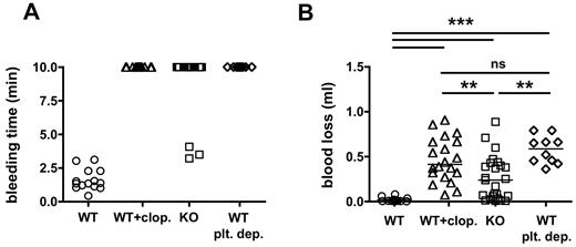 Figure 5. CalDAG-GEFI–deficient mice show a similar bleeding time but a reduced amount of blood loss compared with clopidogrel-treated WT mice. (A) Tail-bleeding time in WT (circle, n = 14), clopidogrel-treated WT (WT + clop., triangle, n = 20), CalDAG-GEFI−/− (KO, square, n = 25), and platelet-depleted mice (WT plt. dep., diamond, n = 10). Three independent experiments. (B) Blood volume lost from the severed tails. Each dot represents the bleeding time or blood loss volume determined in individual mice.