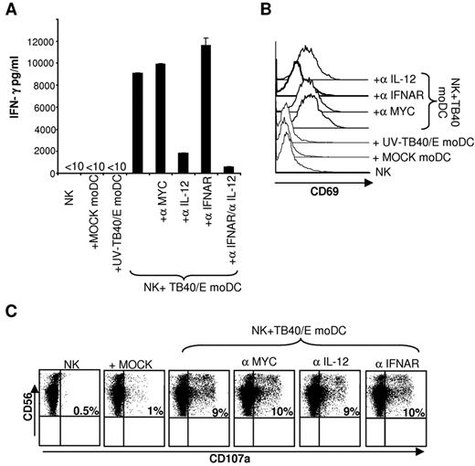Figure 3. IL-12 and IFN-α contribute to NK-cell activation induced by HCMV-infected moDCs. Freshly purified NK cells were cultured with target cells for 24 hours as described in Figure 2A-B (moDCs/NK = 1:4; TB40/E moDCs: 80% IE-1/IE-2+ cells). In parallel, the effect of IL-12-specific, IFNAR-specific, and control (myc) mAbs was tested. (A) IFN-γ production was measured by ELISA (mean ± SD of triplicates). (B) CD69 expression on NK cells was assessed by flow cytometry. NK cells purified by negative selection from PBMCs stimulated overnight with IL-2 were cocultured for 5 hours with target cells as described in “NK-cell functional assays.” In parallel, the effect of IL-12-specific, IFNAR-specific, and control (myc) mAbs was tested. Surface CD107a expression in CD56+ cells was analyzed by flow cytometry. (C) The percentage of CD56+CD107a+ is included in each dot plot. Results of a representative experiment of 3 performed are shown.