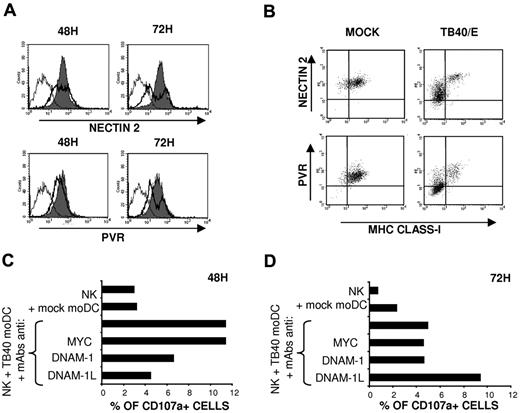 Figure 5. HCMV infection down-regulates PVR and Nectin-2 expression in moDCs: influence on the NK-cell mediated response at different after infection stages. (A) Mock moDCs (filled histograms) and TB40/E moDCs (bold line, open histograms) were surface labeled at 48 hours and 72 hours after infection by indirect immunofluorescence with Nectin-2 and PVR-specific mAbs. Staining with isotype control is included (thin line, open histograms). Results of a representative experiment (65% IE-1/IE-2+ cells) of 3 performed are shown. (B) Mock moDCs and TB40/E moDCs at 72 hours after infection were also costained with FITC-conjugated HLA class I specific mAbs. Results of a representative experiment (70% IE-1/IE2+ cells) of 3 performed are shown. (C-D) NK-cell degranulation against moDCs was measured by the CD107a mobilization assay in the presence of blocking mAbs as described in “NK-cell functional assays.” Assays were performed at 48 hours (C) and 72 hours (D) after DC exposure to the virus. Results of a representative experiment of 3 performed are shown for each condition.