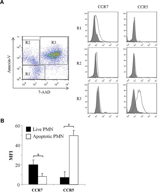 Figure 3. CCR7 is not expressed at the surface of apoptotic neutrophils. (A) Human neutrophils were cultured for 72 hours in RPMI-1640 medium containing 1% FCS before analysis of CCR5 and CCR7 expression. Neutrophil apoptosis was determined by annexin V and 7-AAD staining and analyzed by cytometry. Histograms show membrane CCR5 and CCR7 expression by live (annexin V− 7-AAD−; R1), early apoptotic (annexin V+ 7-AAD−; R2), and late apoptotic (annexin V+ 7-AAD+; R3) neutrophils. Results are representative of 1 of 5 independent experiments. (B) Analysis of CCR7 and CCR5 expression by live (■) and apoptotic (□) human neutrophils. Results are expressed in mean fluorescence intensity values (mean ± SEM, n = 5). *P < .05. PMN indicates polymorphonuclear neutrophil.